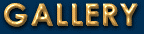  G A L L E R Y 